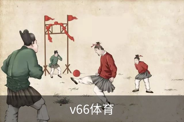 v66体育公司简介展示图